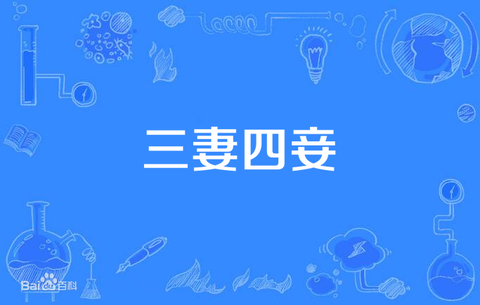 三妻四妾第01集