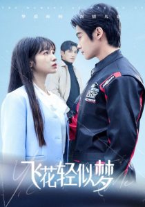 飞花轻似梦第01-37集(大结局)