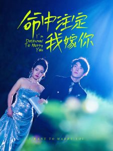 命中注定我嫁你全集(大结局)