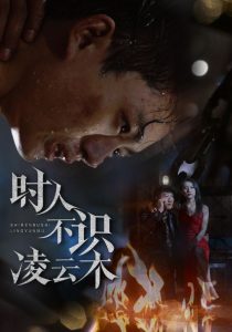 时人不识凌云木全集(大结局)